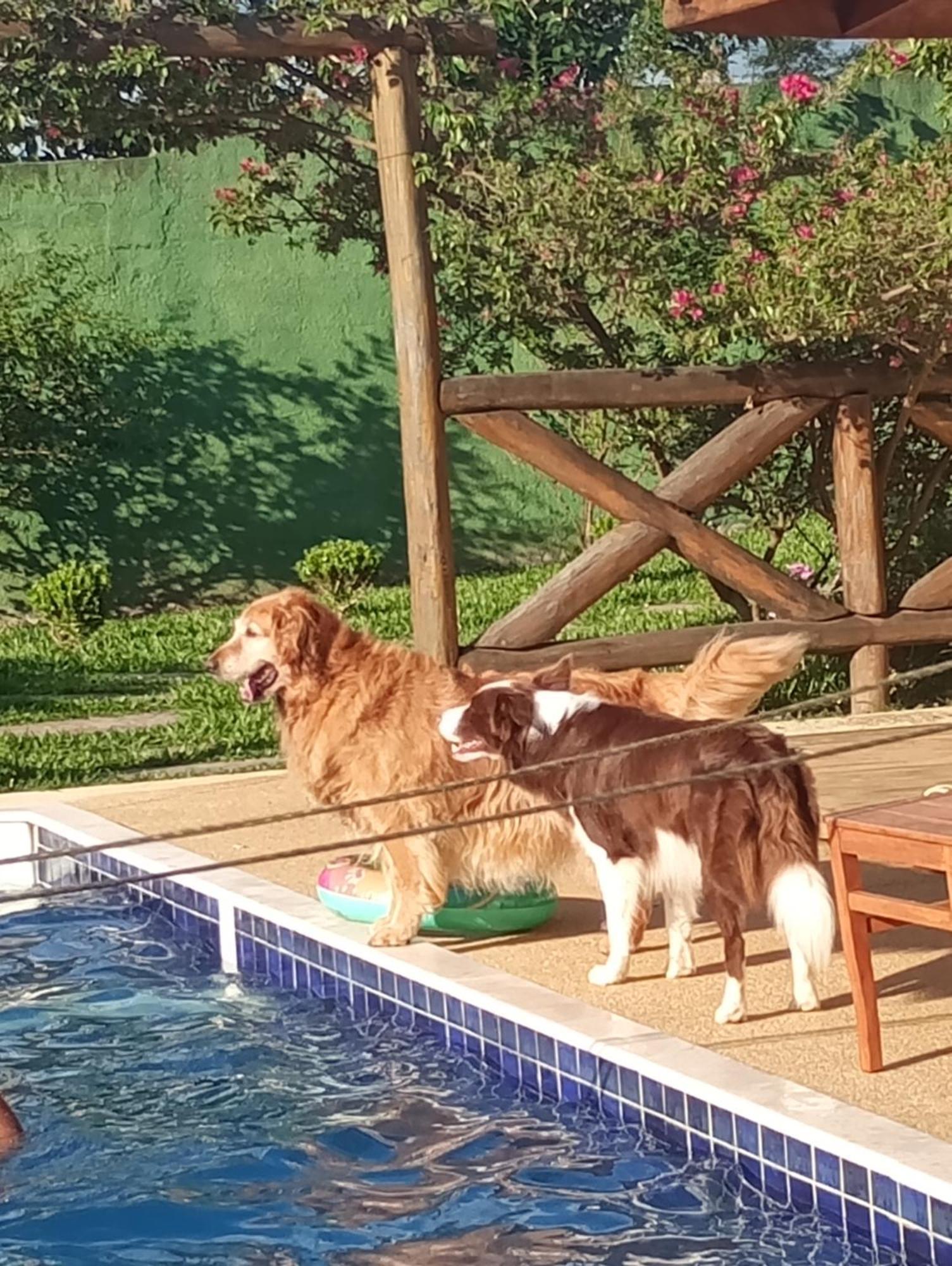 Recanto Família Coelho Igaratá Exterior foto